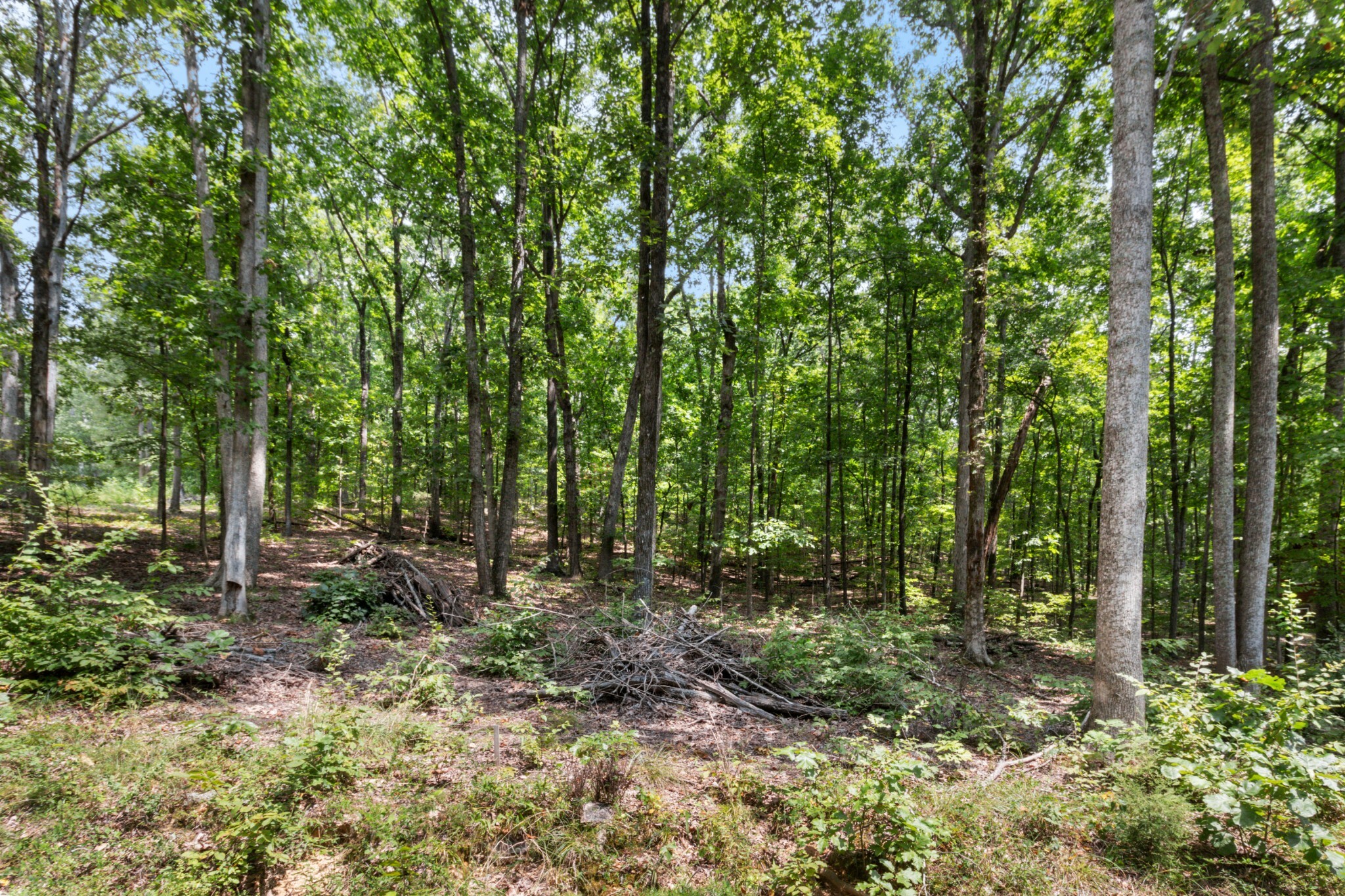 Property Photo:  0 Eagle Shore Dr  TN 37058 