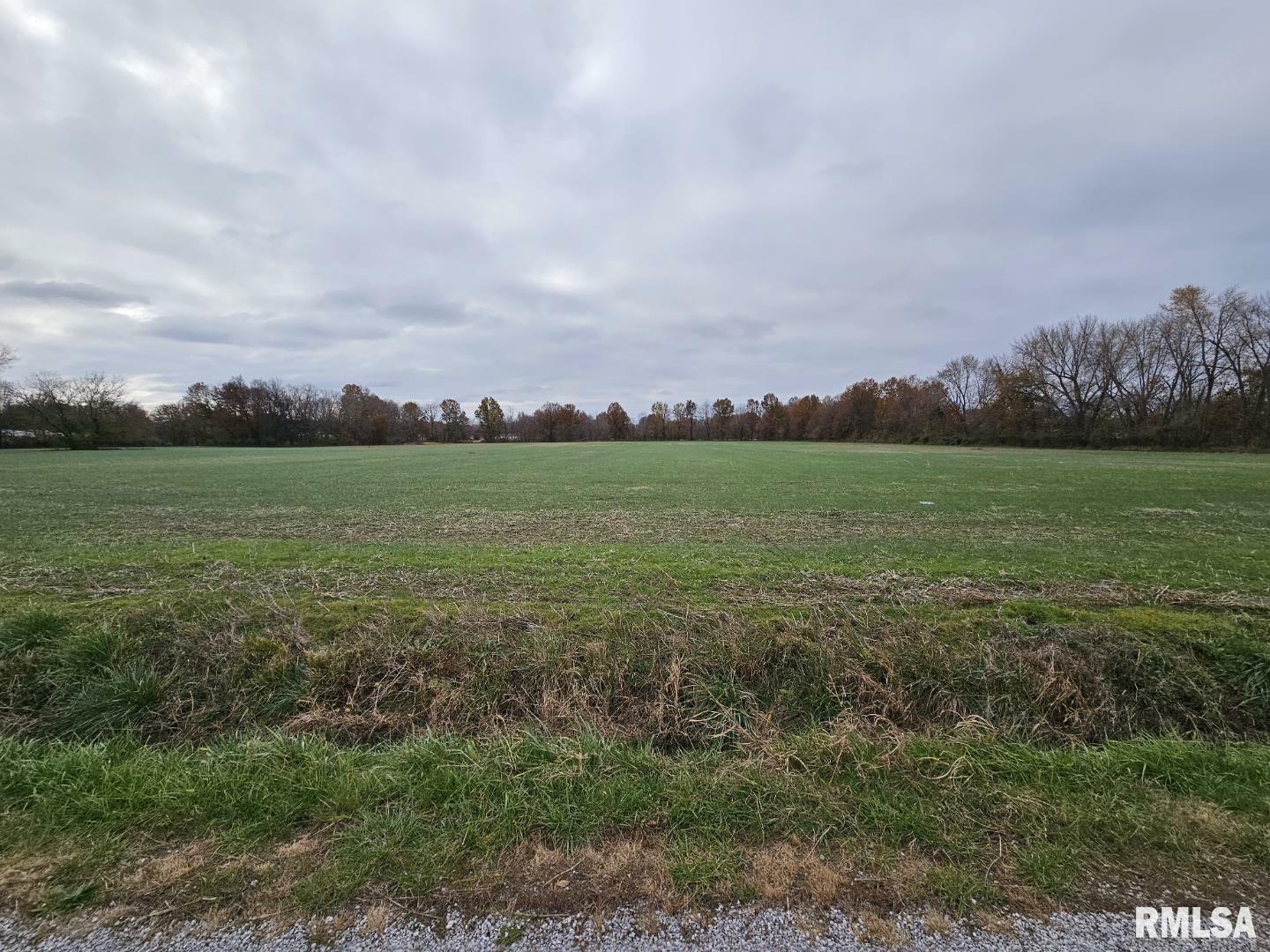 Property Photo:  0000 Bethel Road  IL 62864 