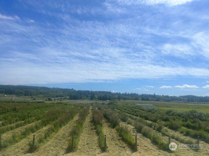 Property Photo: 0 Xxxxx State Route 20 WA 98277