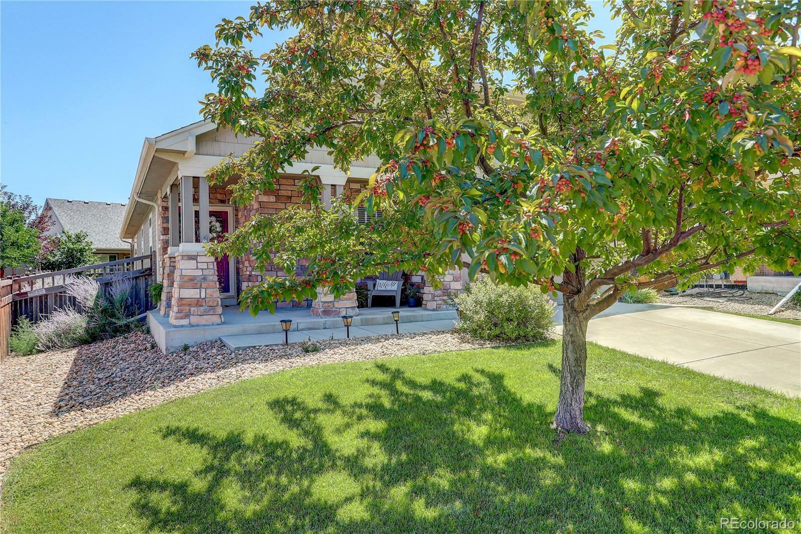 Property Photo:  162 Blue Stem Street  CO 80601 