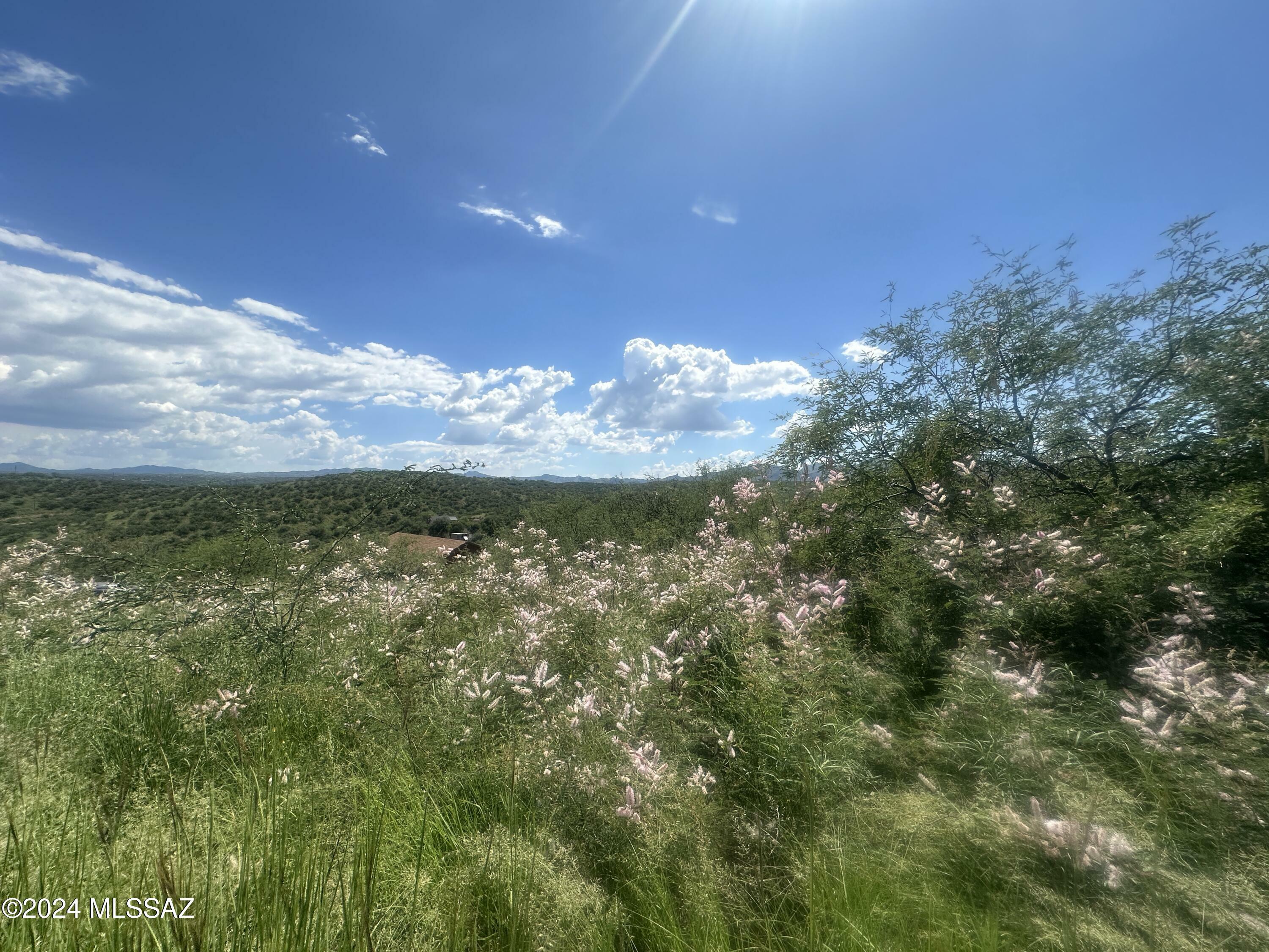 Property Photo:  1161 Corrida De Toros  AZ 85648 