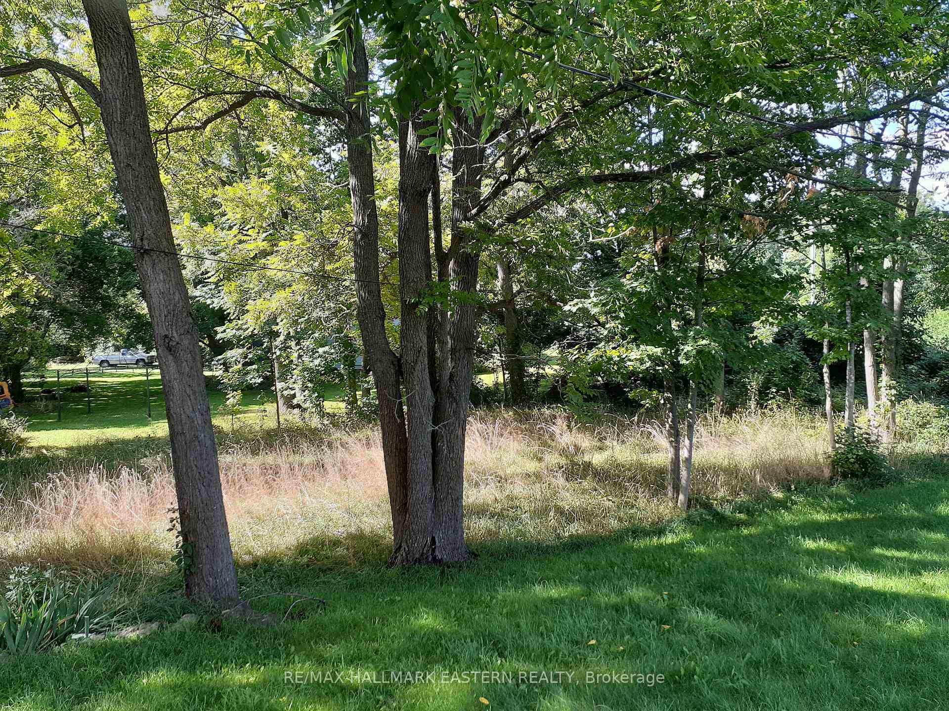 Property Photo:  227 A Queen Street  ON K0L 2H0 