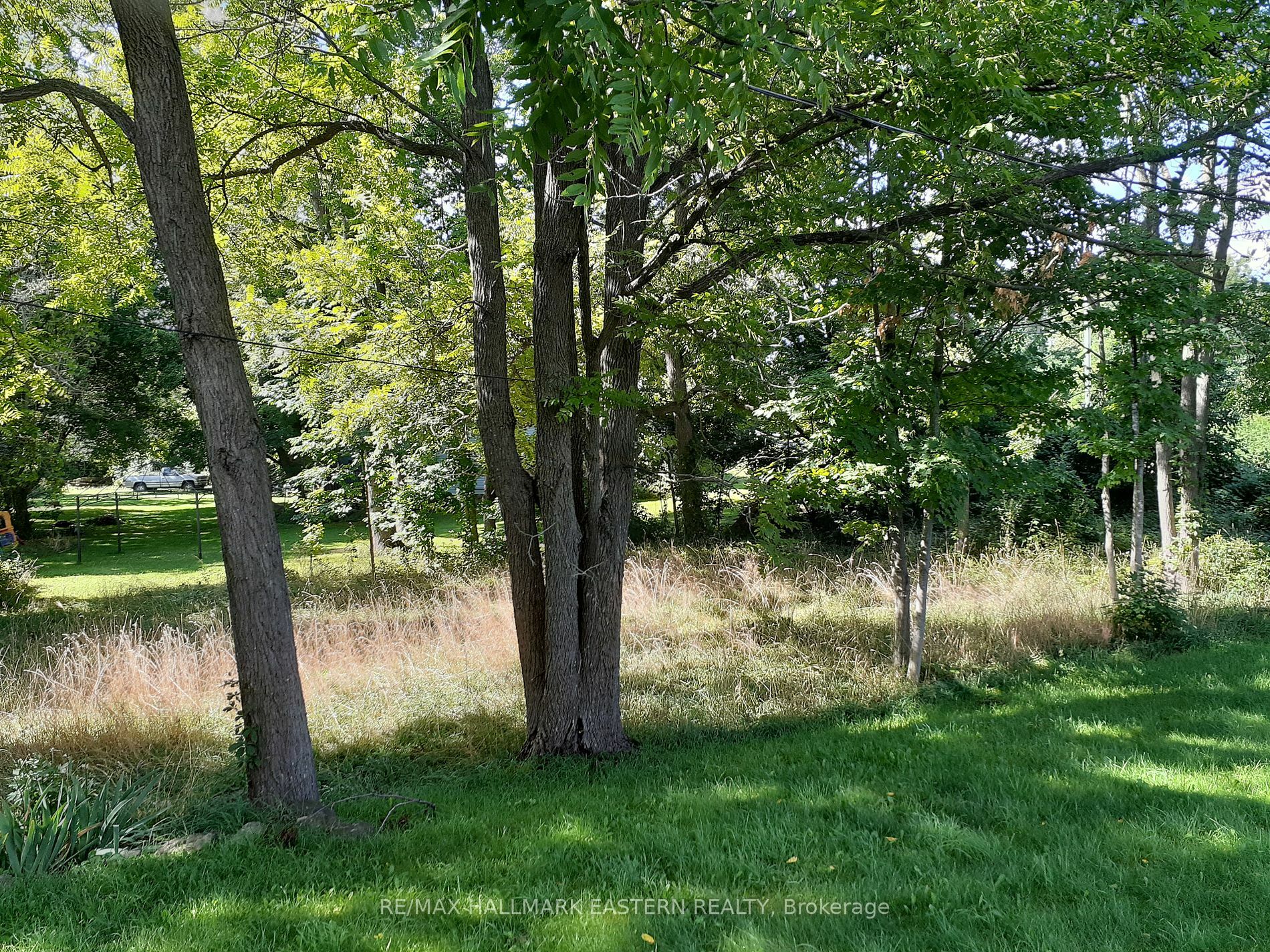 Property Photo:  227 A Queen Street  ON K0L 2H0 