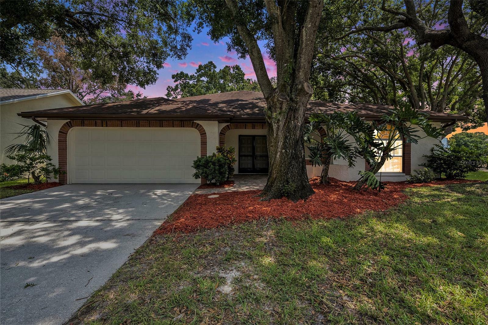 1426 Wicklow Drive  Palm Harbor FL 34684 photo