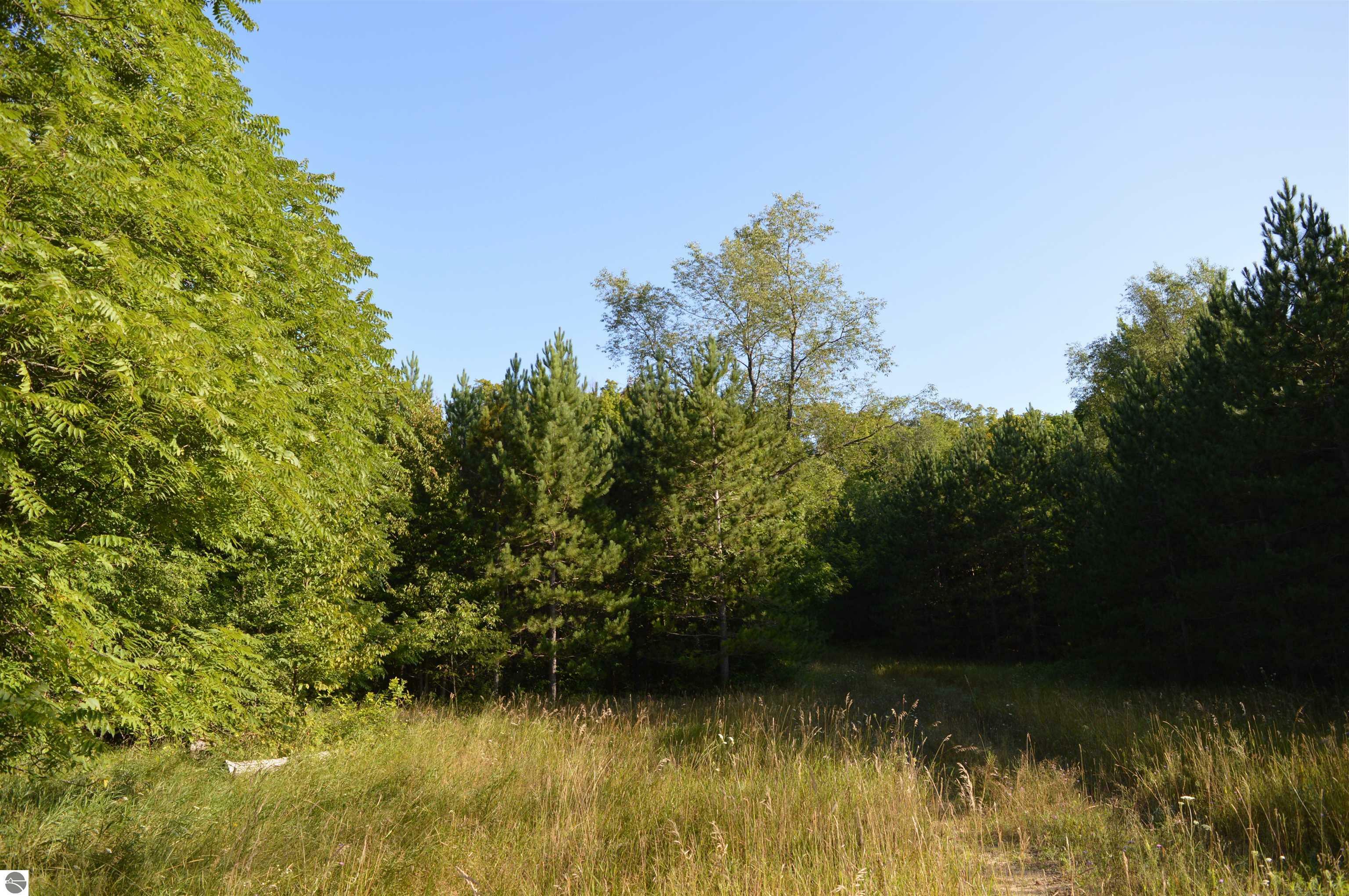 Property Photo:  W Leonard Road  MI 49659 