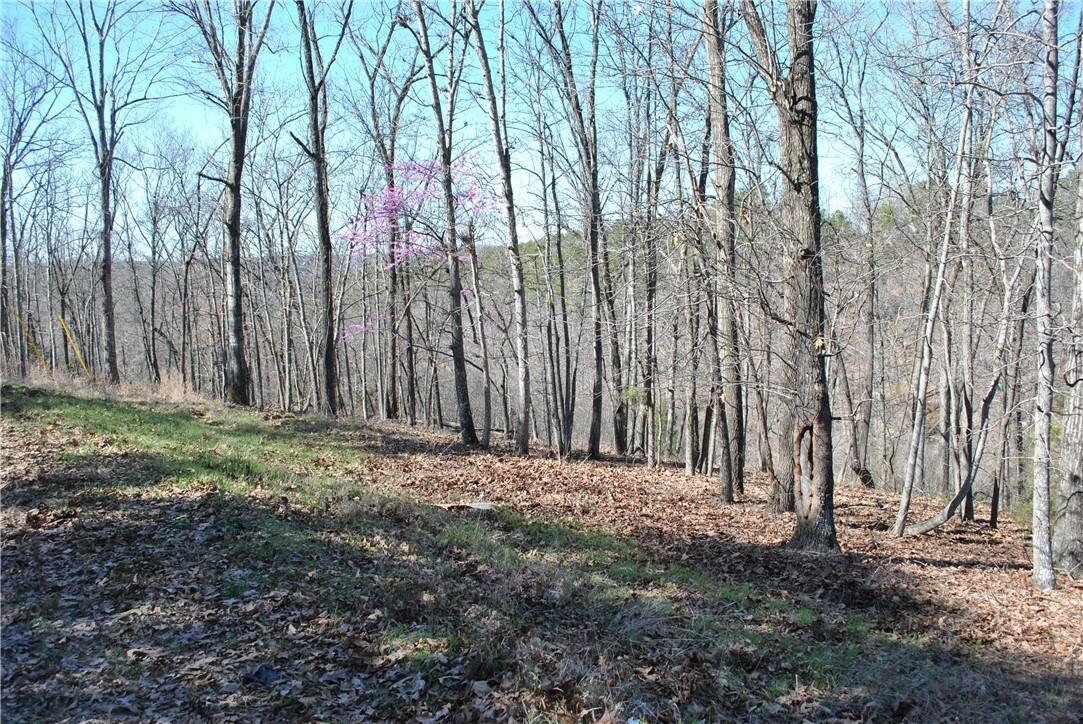 Property Photo:  Lot 102 E Robin Road  AR 72756 