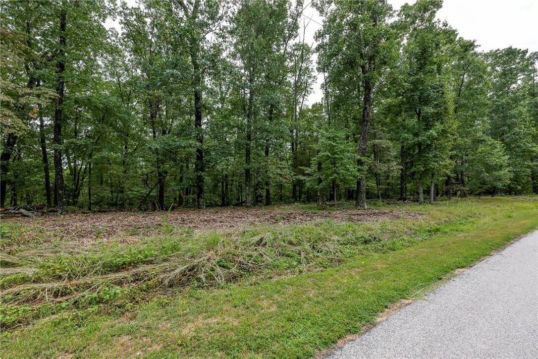 Property Photo:  5.32 Acres Deer Meadow Drive  AR 72732 