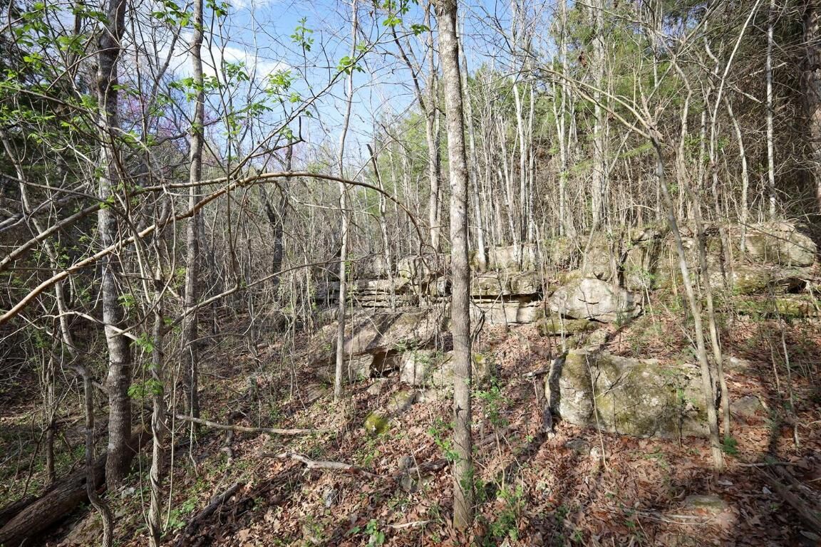 Property Photo:  107 Pindall Road  AR 72669 