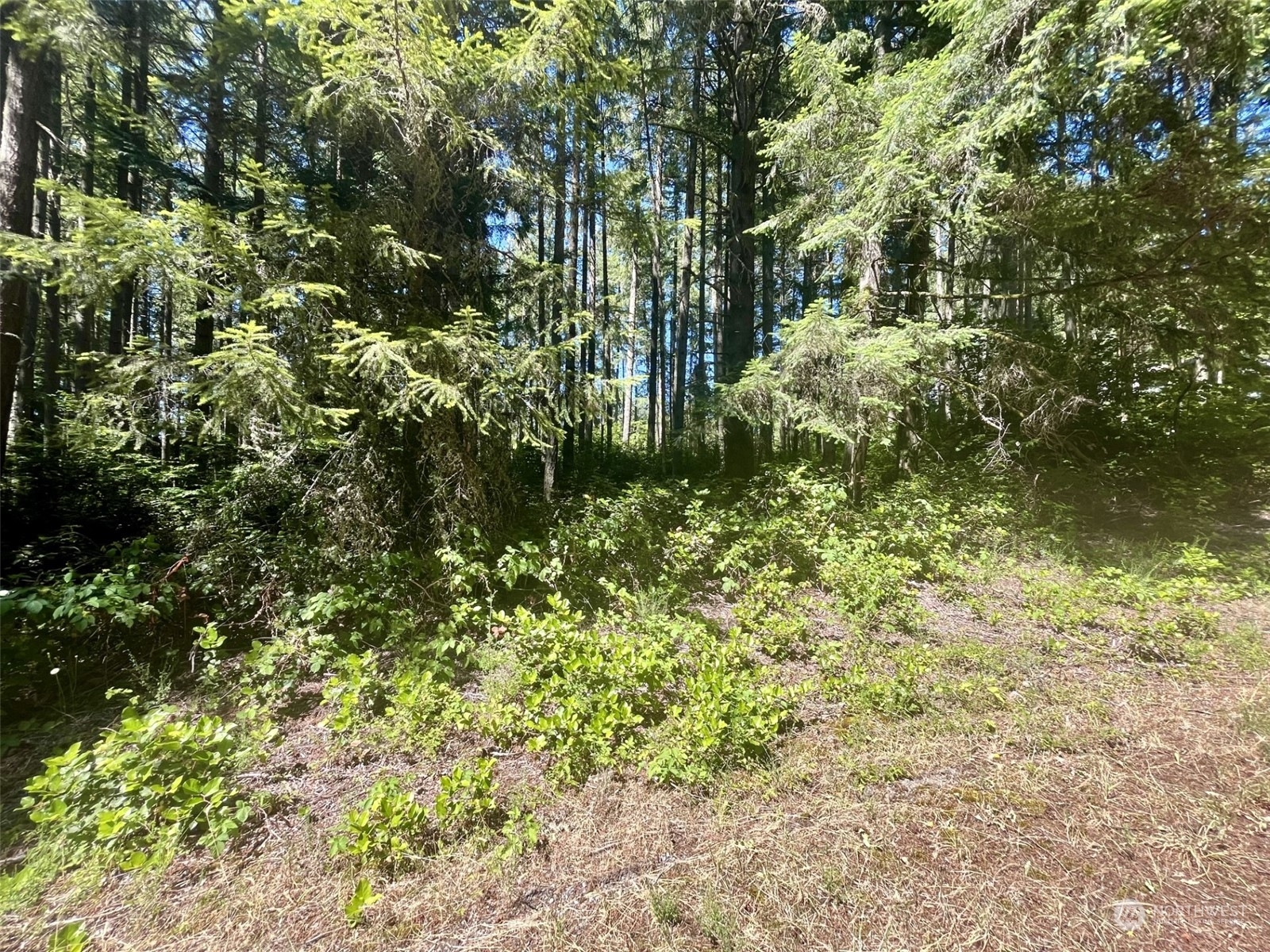 Property Photo:  10408 Narrows Drive  WA 98303 