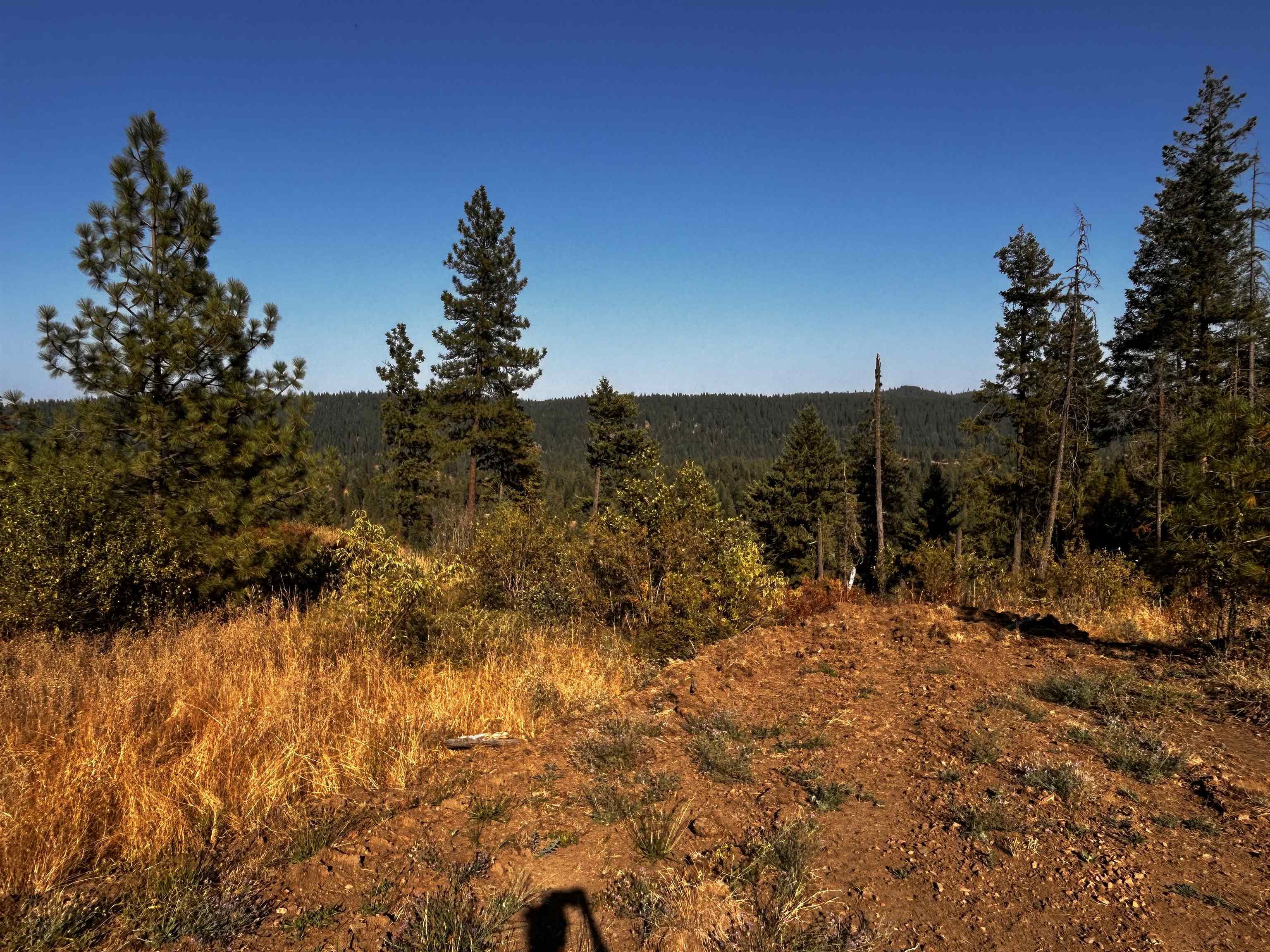 Property Photo:  000 Horseshoe Lake Rd  WA 99006 