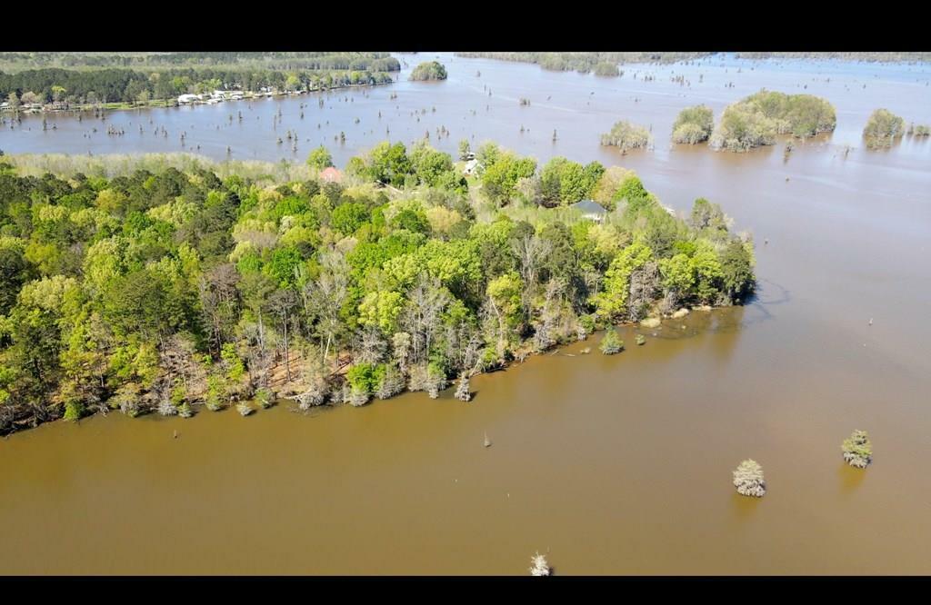 Property Photo:  N A Lot  3 - Sawdust Ln  GA 31735 