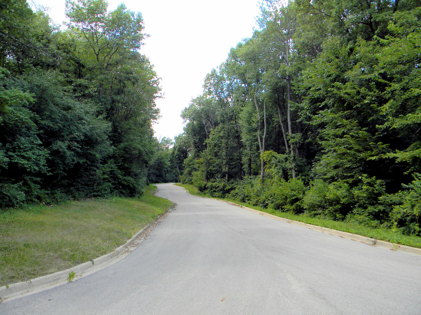 Property Photo:  7111 Forest Oak Drive  IL 60050 