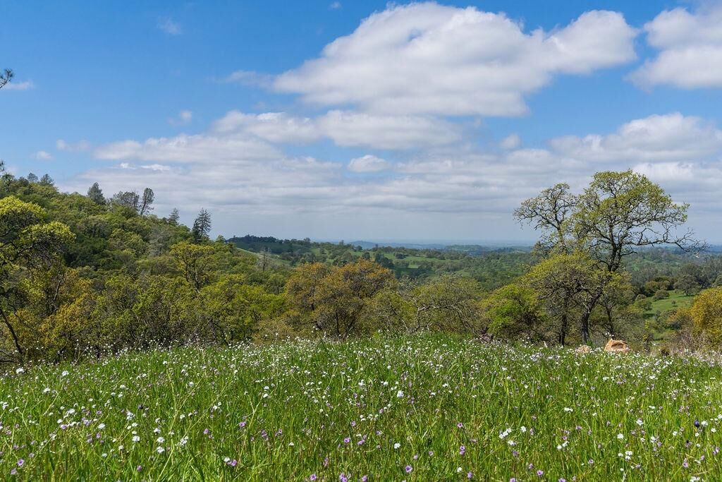 Property Photo: 10865 Sunset Drive CA 95685