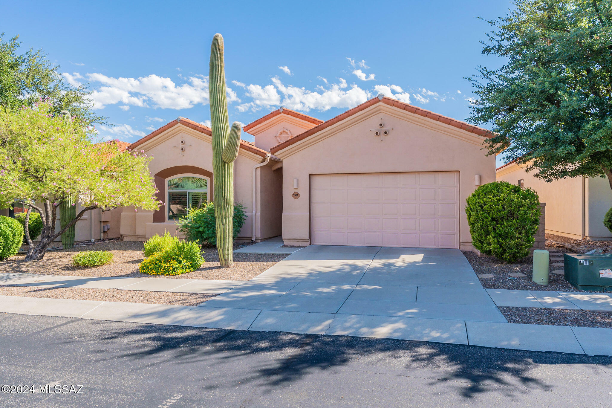 Property Photo:  7301 E Vuelta Rancho Mesquite  AZ 85715 