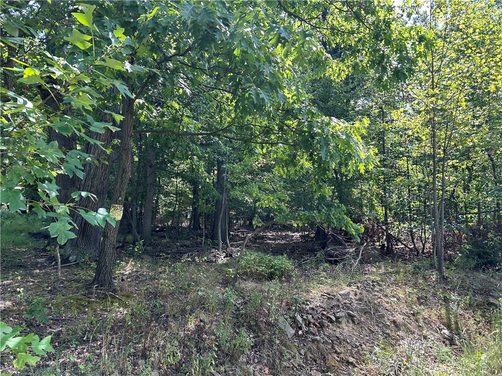 Property Photo: 0 6th St PA 15425