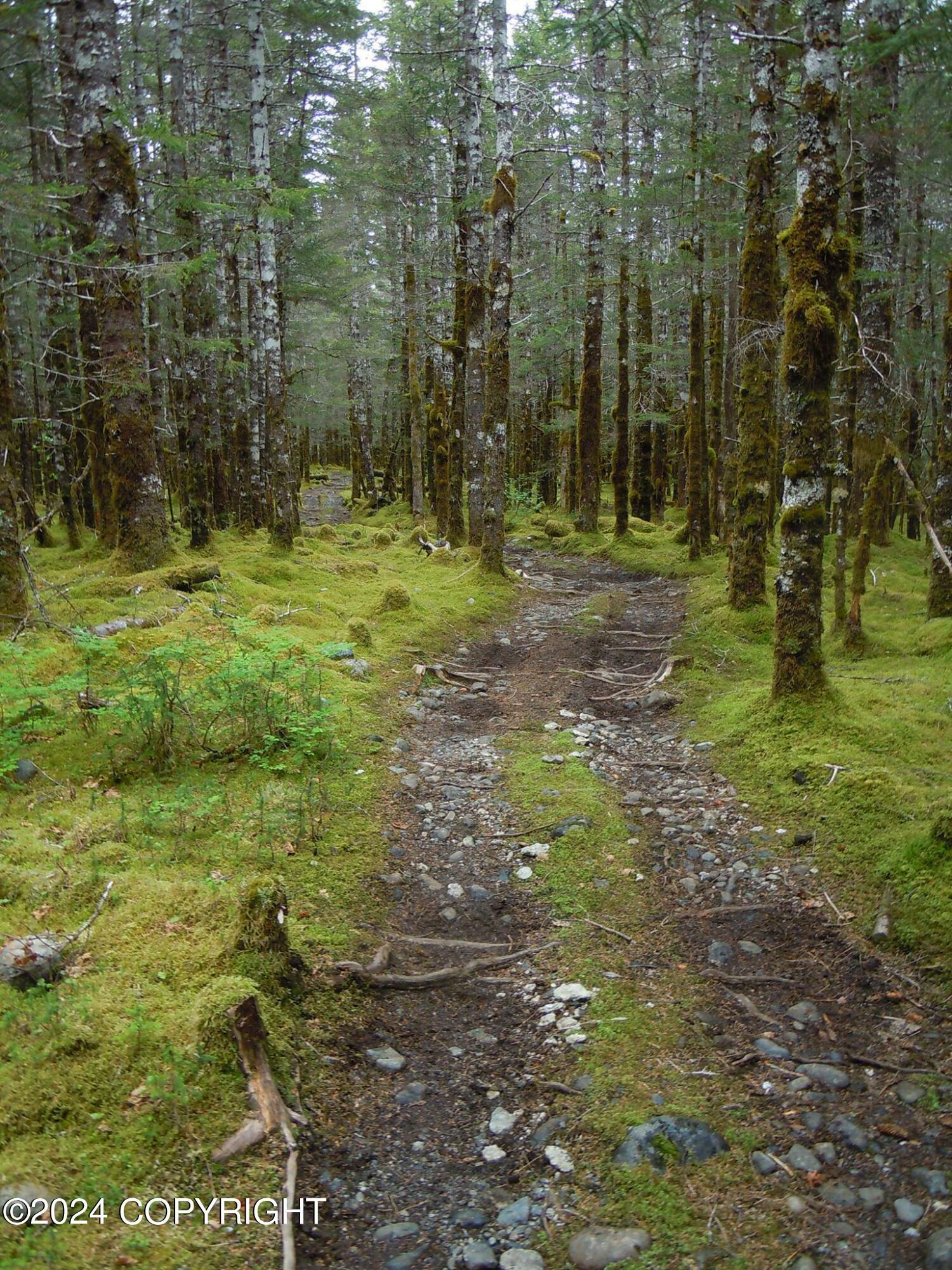 Property Photo:  000 Nuka Bay  AK 99663 