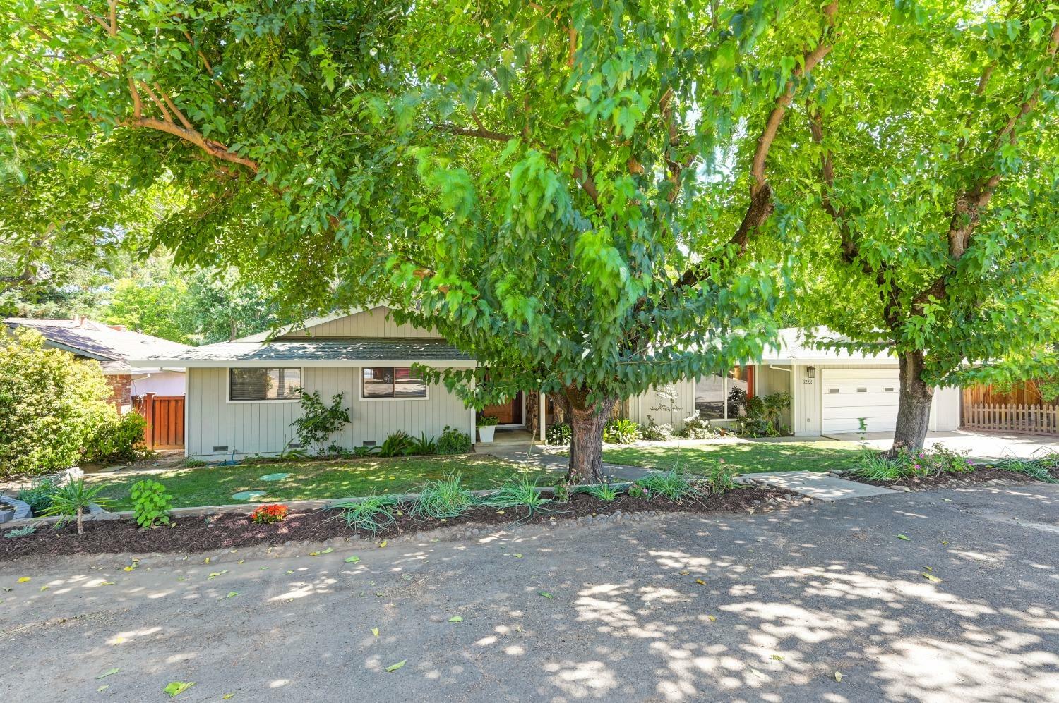 5222 Kenneth Avenue  Fair Oaks CA 95628 photo