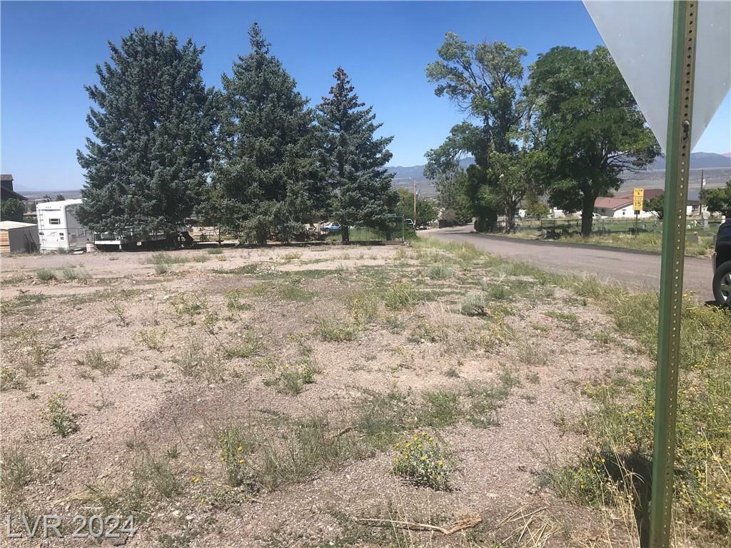 Property Photo:  295 Oseola Avenue  NV 89043 