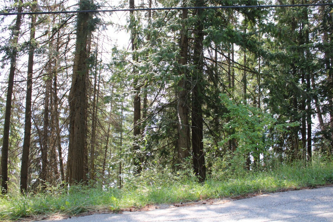 Property Photo:  Lot 31 Vickers Trail  BC V0E 1M8 