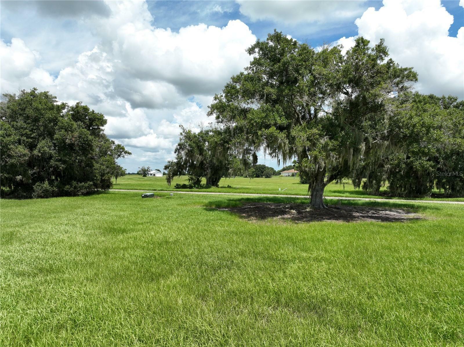 Property Photo:  1465 Blue Heron Drive  FL 33876 