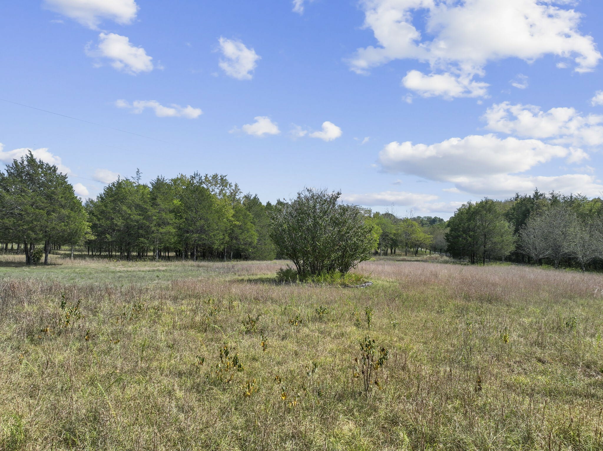 Property Photo:  11836 Mona Road  TN 37129 