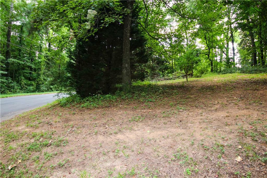 Property Photo:  4726 Forest Trail  GA 30135 