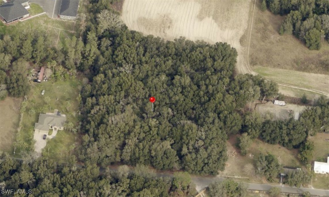 Property Photo:  Bessie Dix Road  FL 33584 