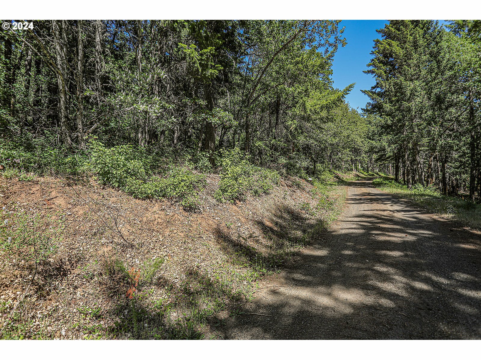 Property Photo:  Lyons Rd  WA 98672 