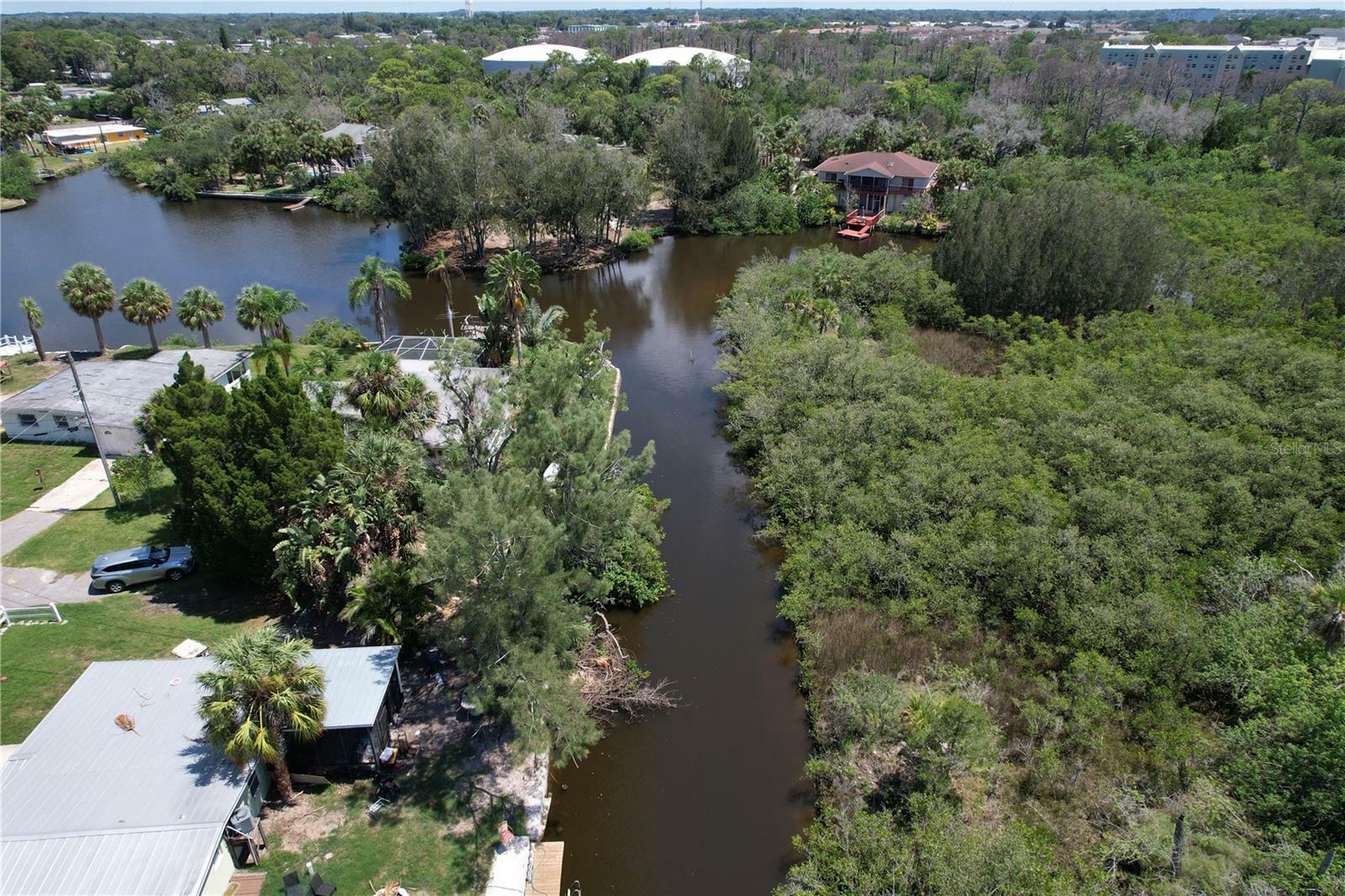 Property Photo:  4820 Treasure Drive  FL 34652 