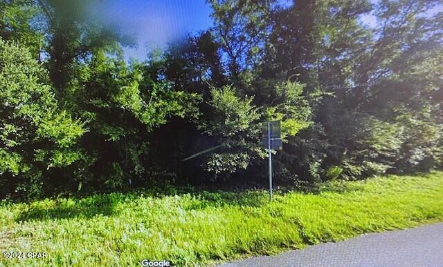 Property Photo:  0 Bristol Highway  FL 32351 