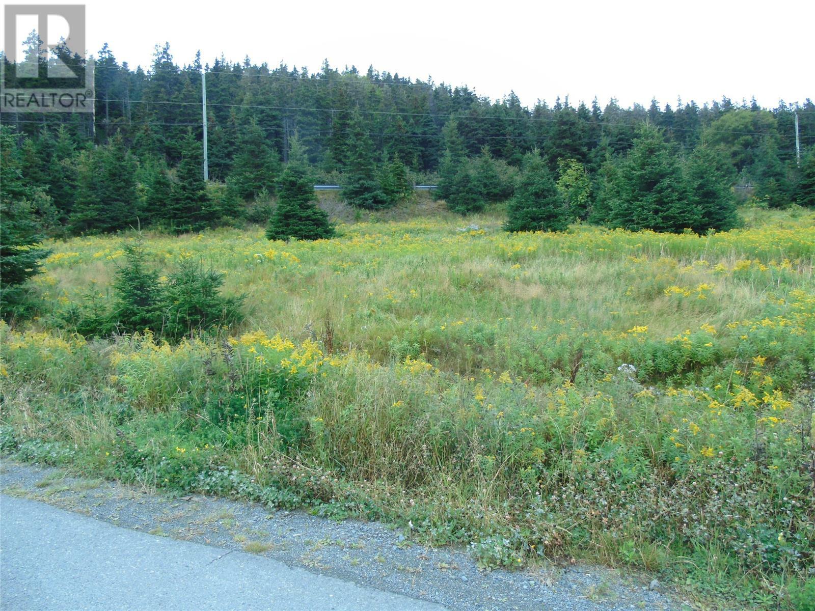 Property Photo:  0 Southern Side Lance Cove Road  NL A0A 4H0 