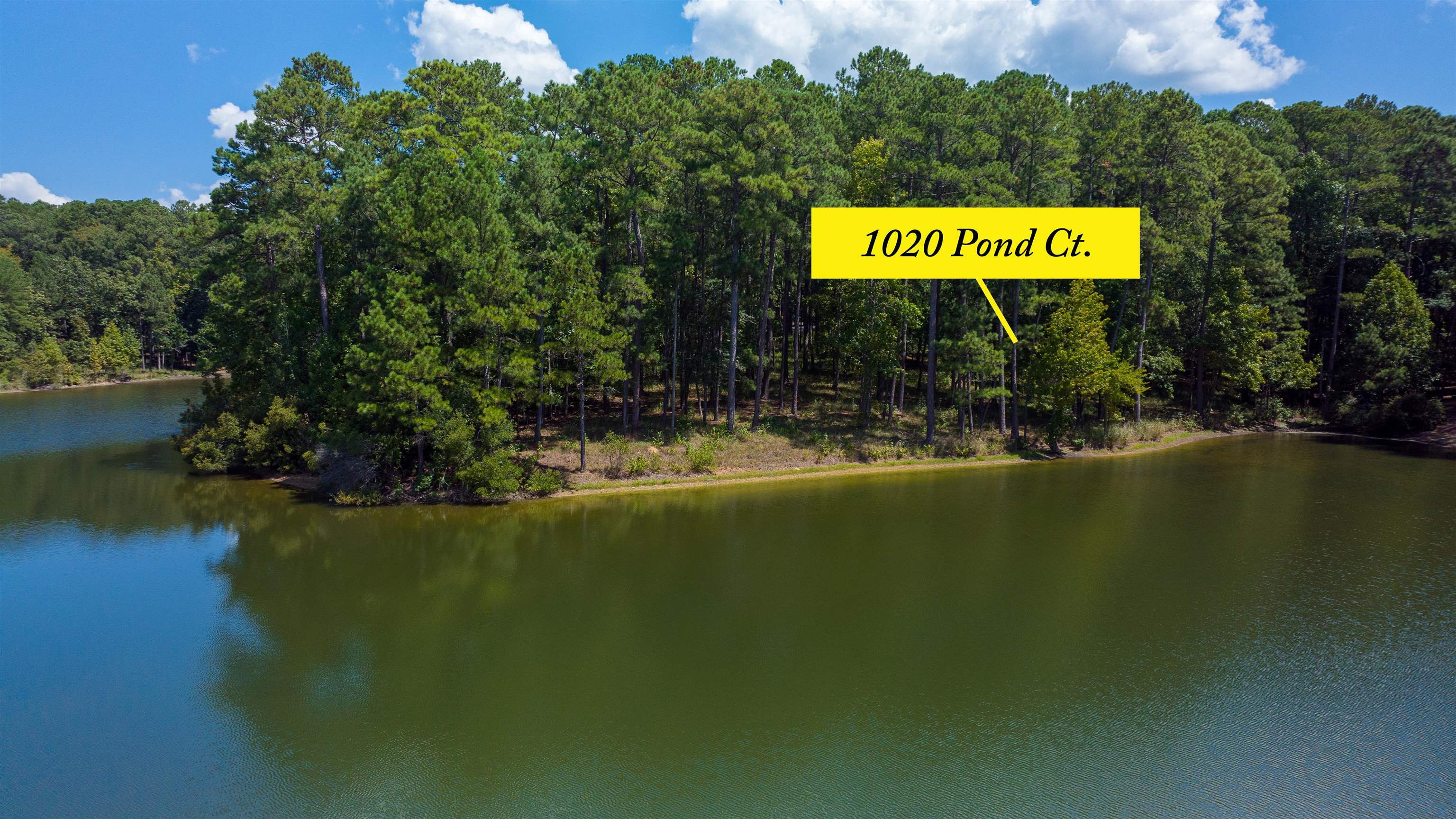 Property Photo:  1020 Pond Court  GA 30642 