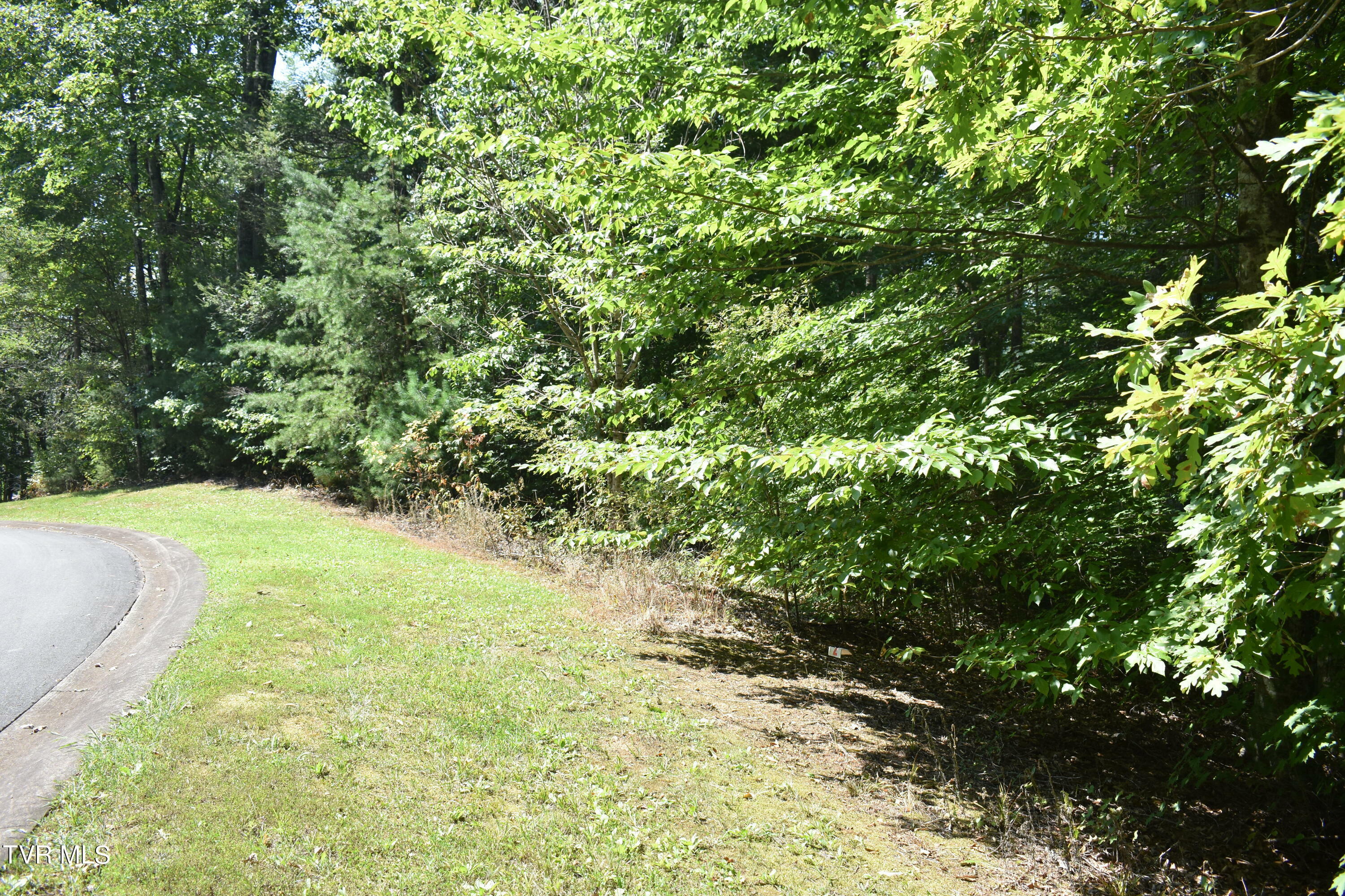 Property Photo:  Lot 2 & 3 River Pointe Drive  TN 37743 