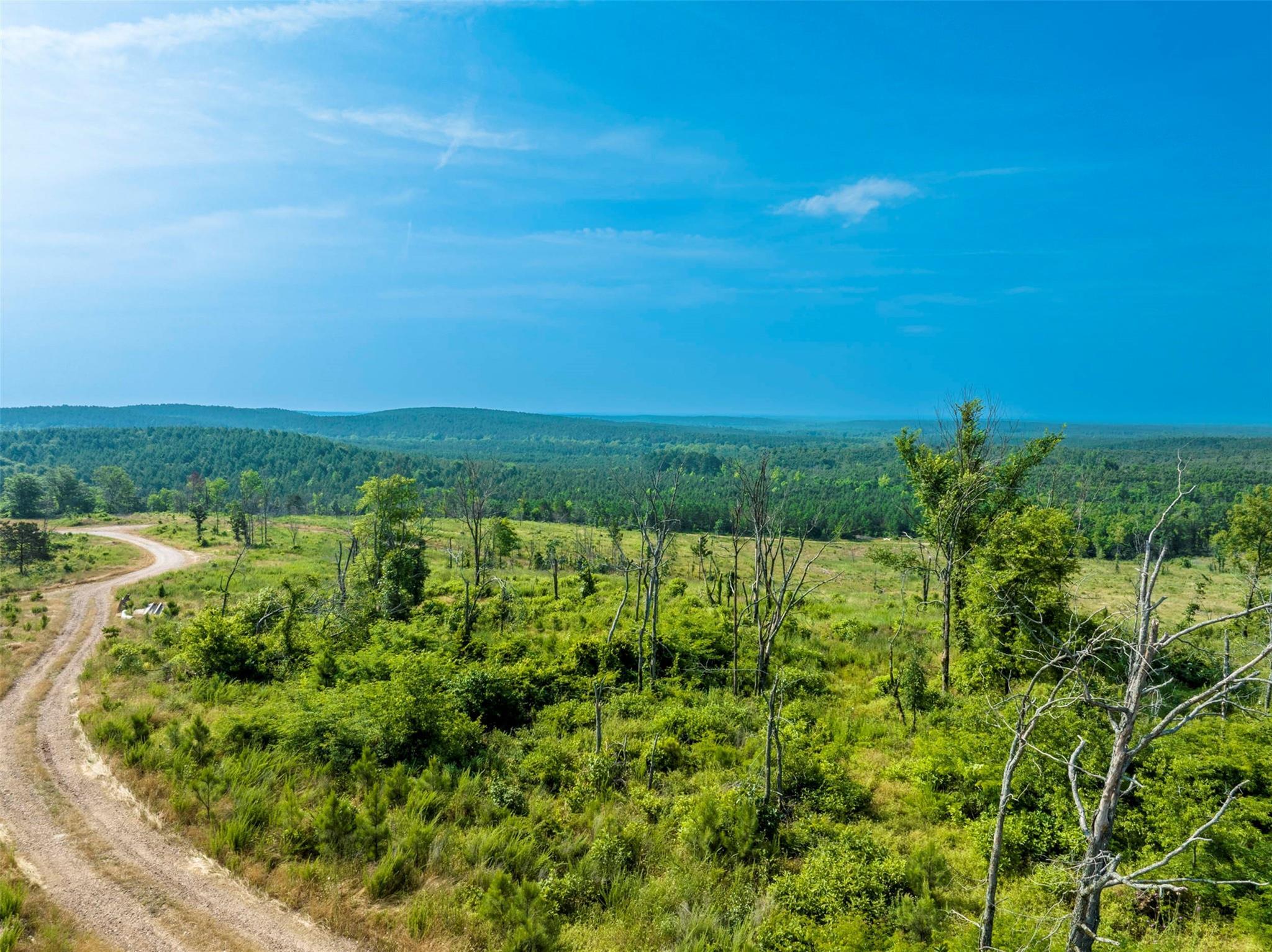 Property Photo: 36 Hickory Hull Trail OK 74728