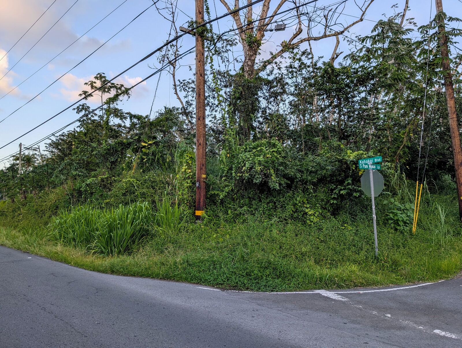 Property Photo:  S Puni Makai Loop  HI 96778 