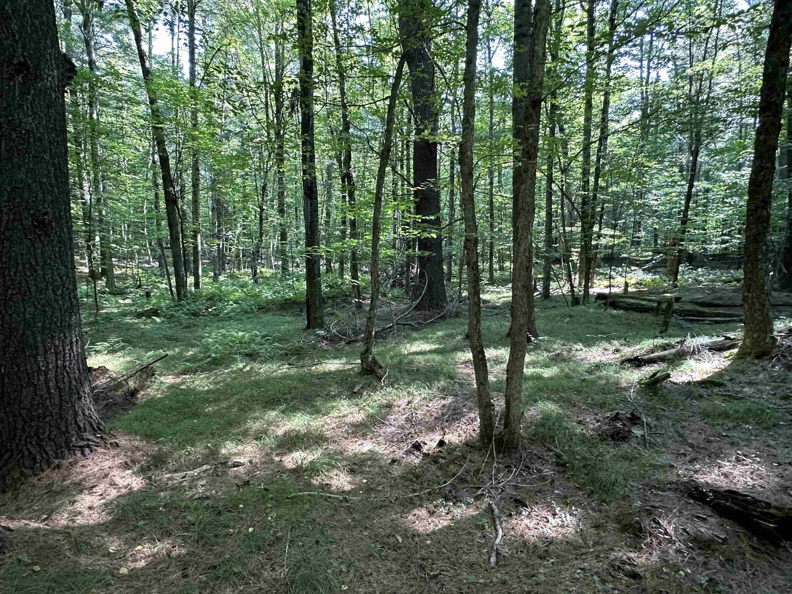 Property Photo:  00 Wilson Road  NY 13625 