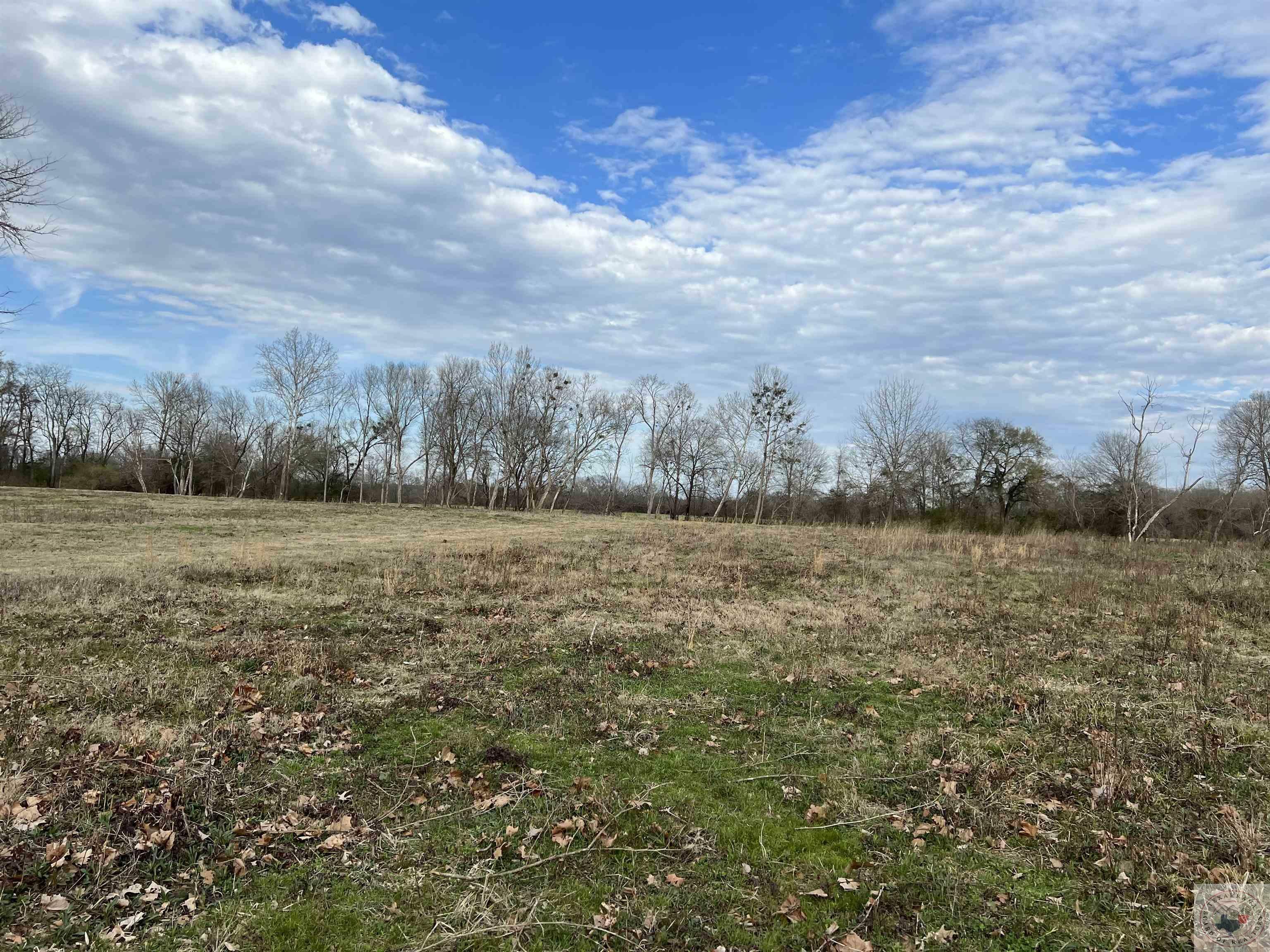 Property Photo:  Lot 19 Brian Harris Drive  AR 71852 