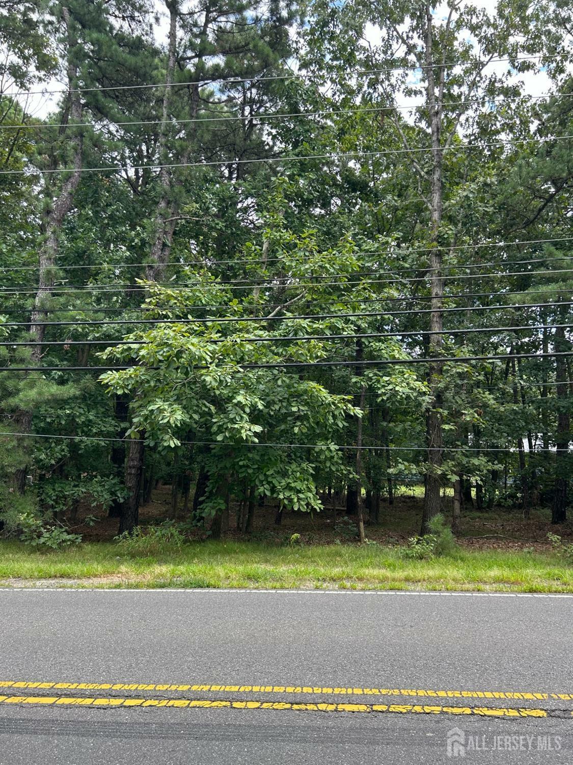 Property Photo:  232 Old Forge Road  NJ 08831 