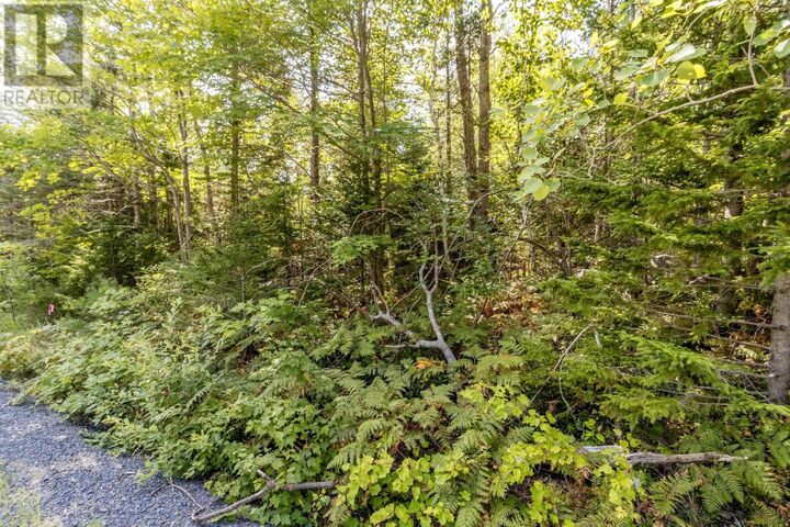 Property Photo:  Lot 5 Aylesford Road  NS B0P 1C0 