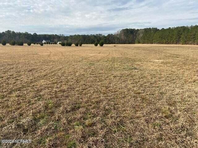 Property Photo:  0 Perry Road  NC 27837 