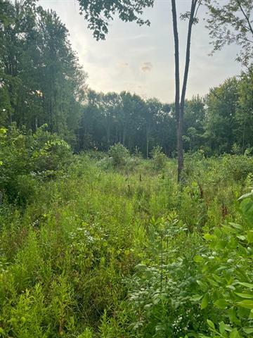 Property Photo:  51760 S Foster Road  MI 48047 