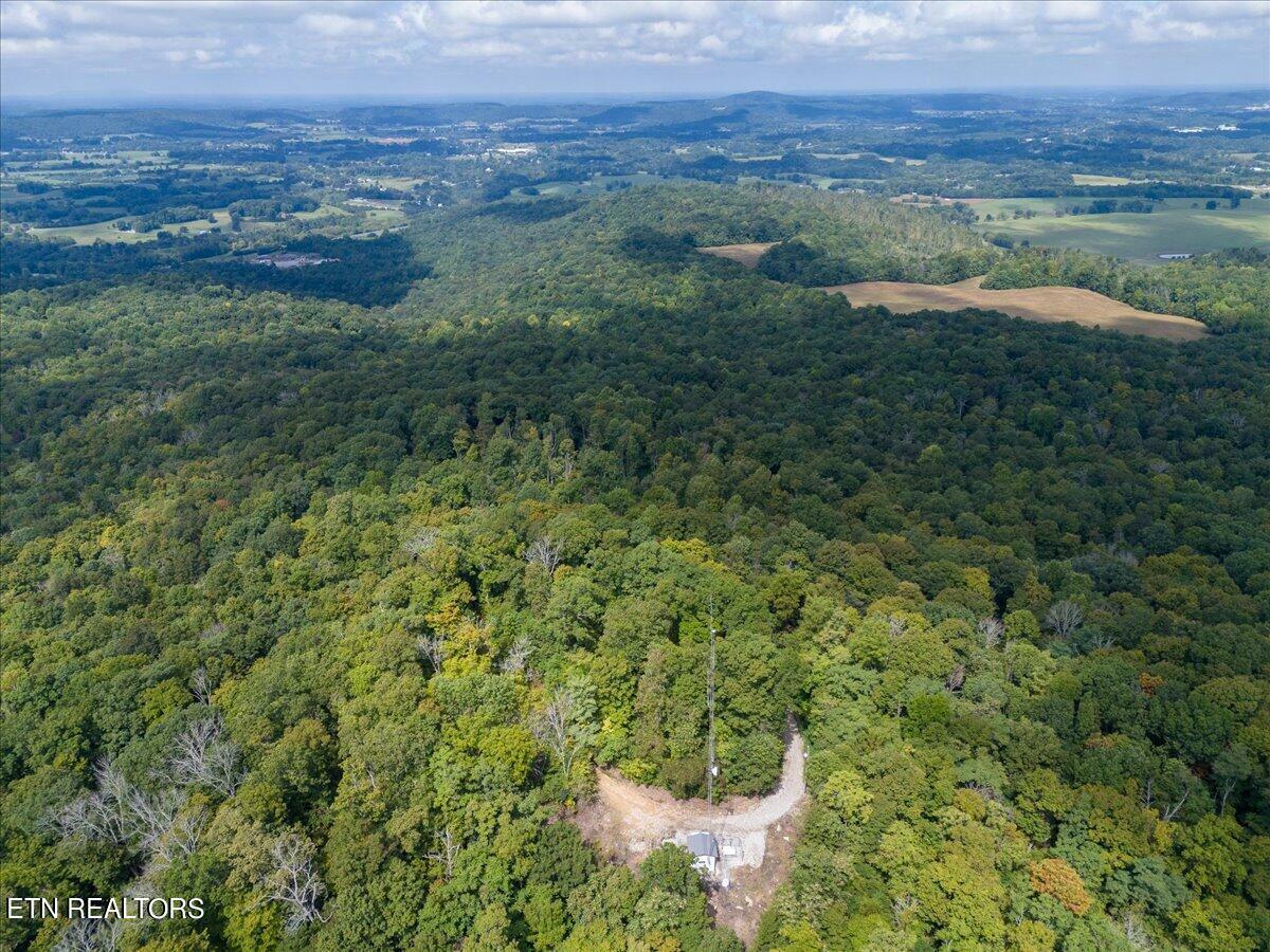 Property Photo:  Fire Tower Rd  TN 38583 