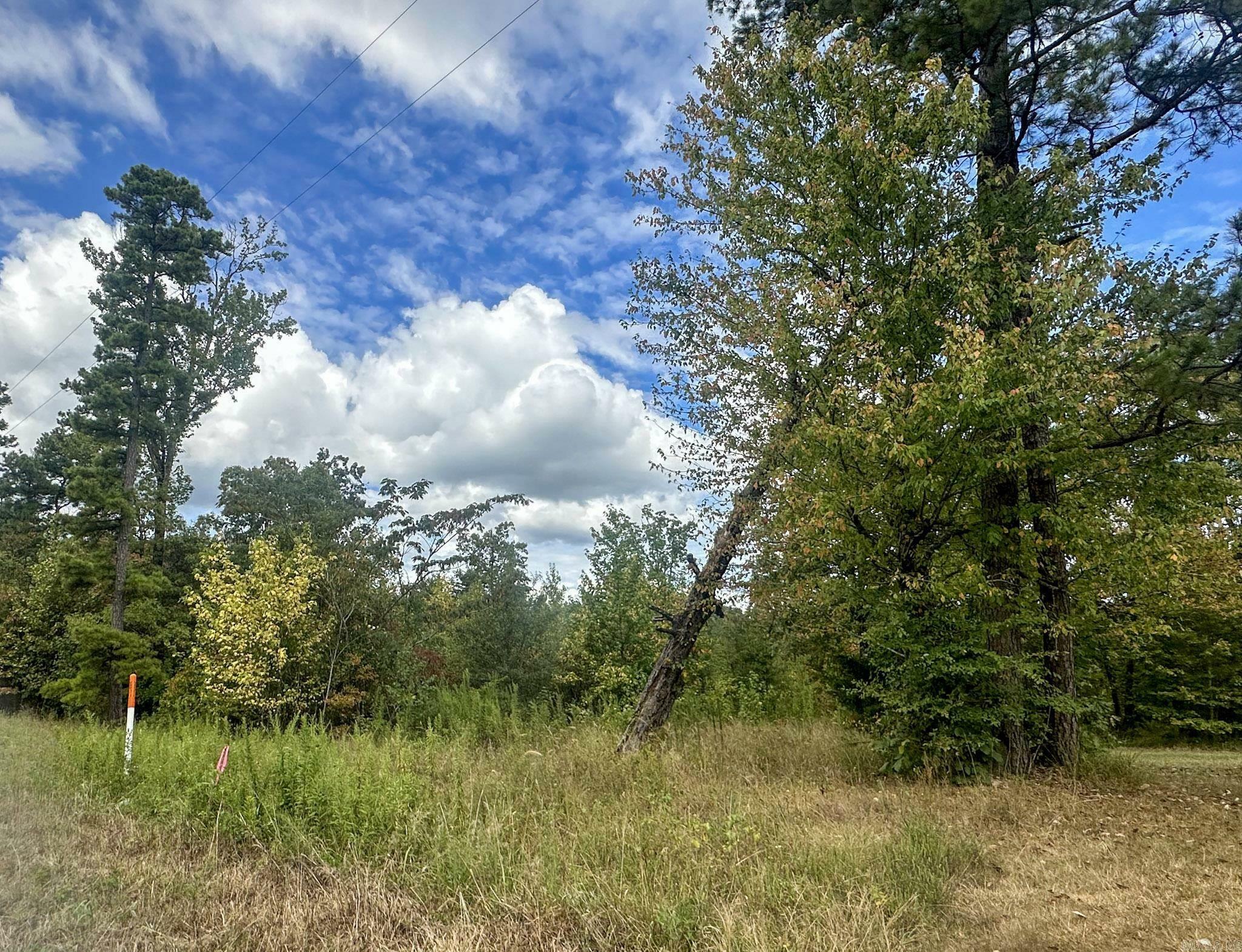 Property Photo:  Tbd Hwy 4  AR 71937 