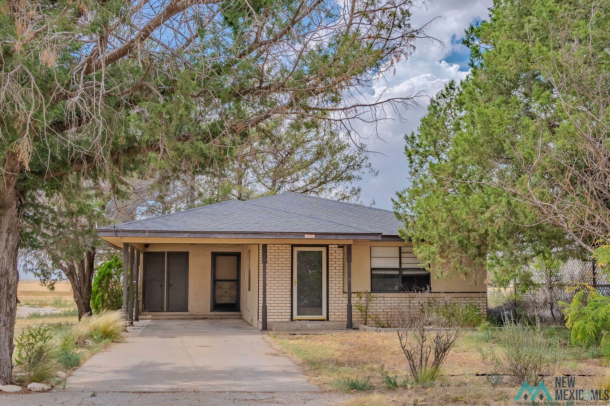 Property Photo:  154 Dora Main Street  NM 88130 