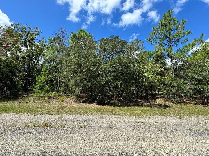 Property Photo:  6499 N Dorian Terrace  FL 34433 