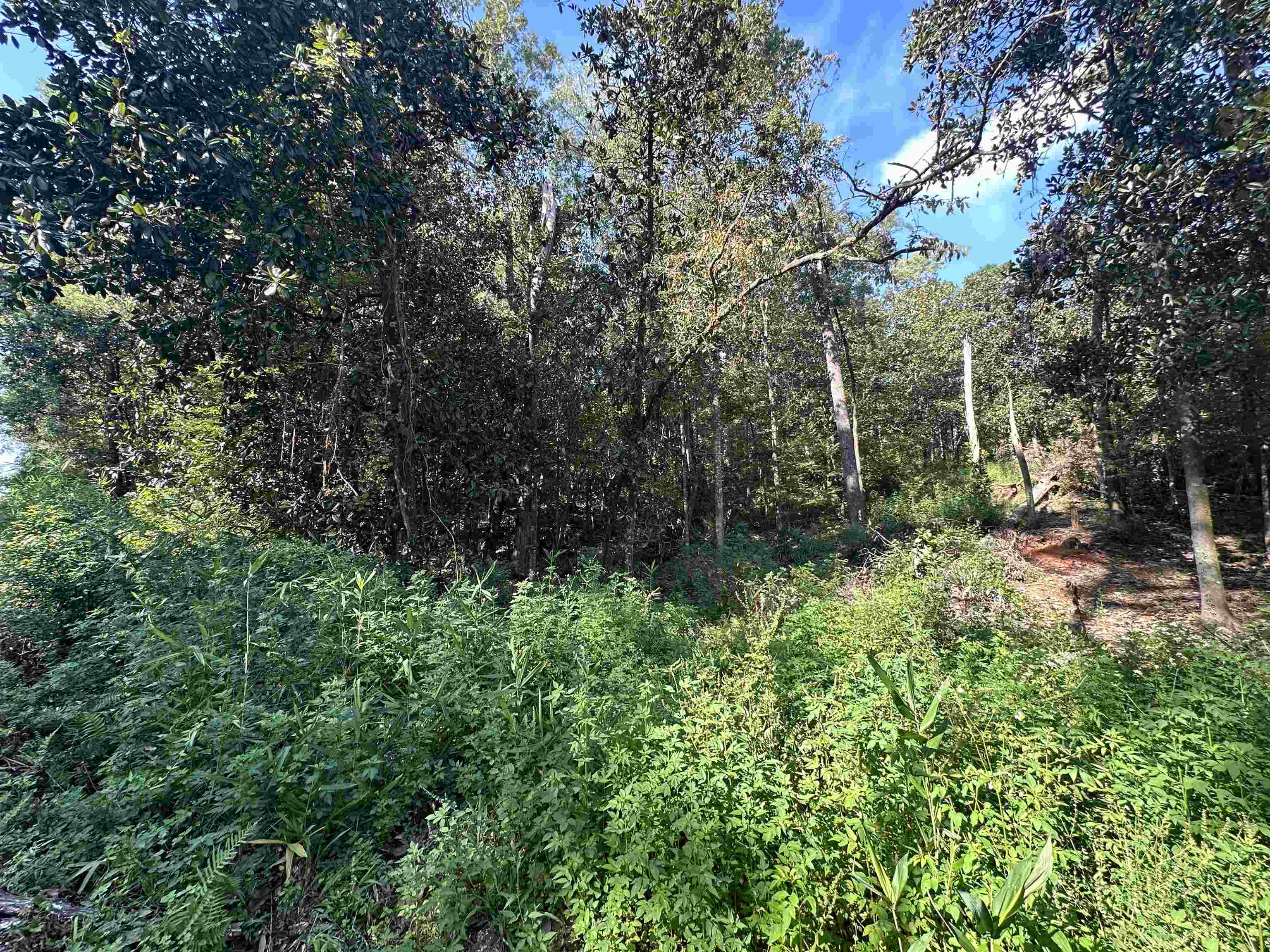 Property Photo:  Lot 6 Kant Circle  FL 32351 