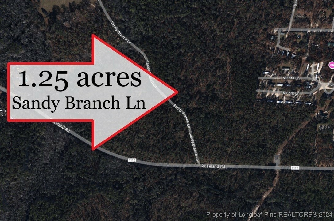 Property Photo:  Tbd Sandy Branch Lane  NC 28315 