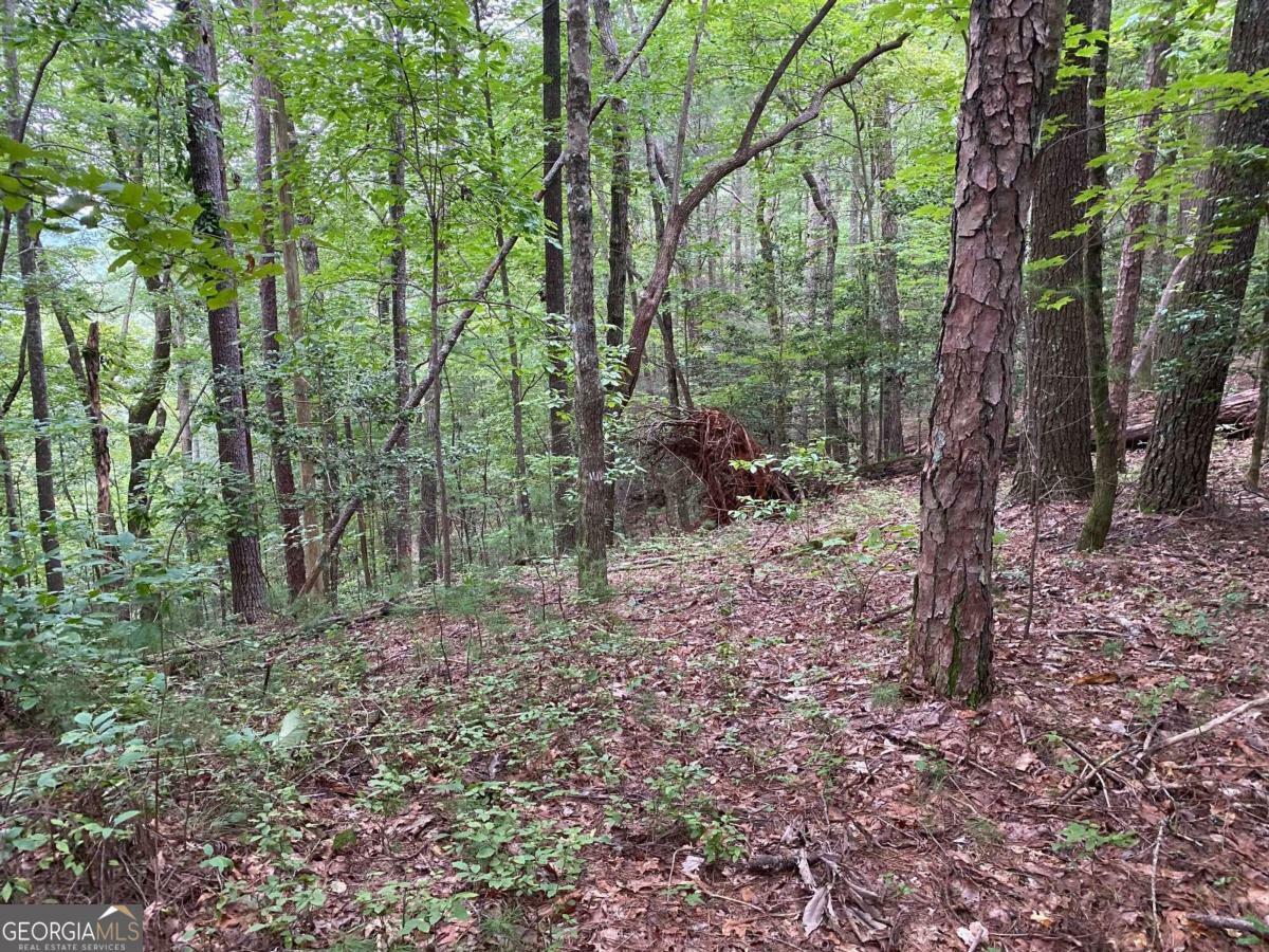 Property Photo:  Tract C Harpers Creek Road  GA 30540 