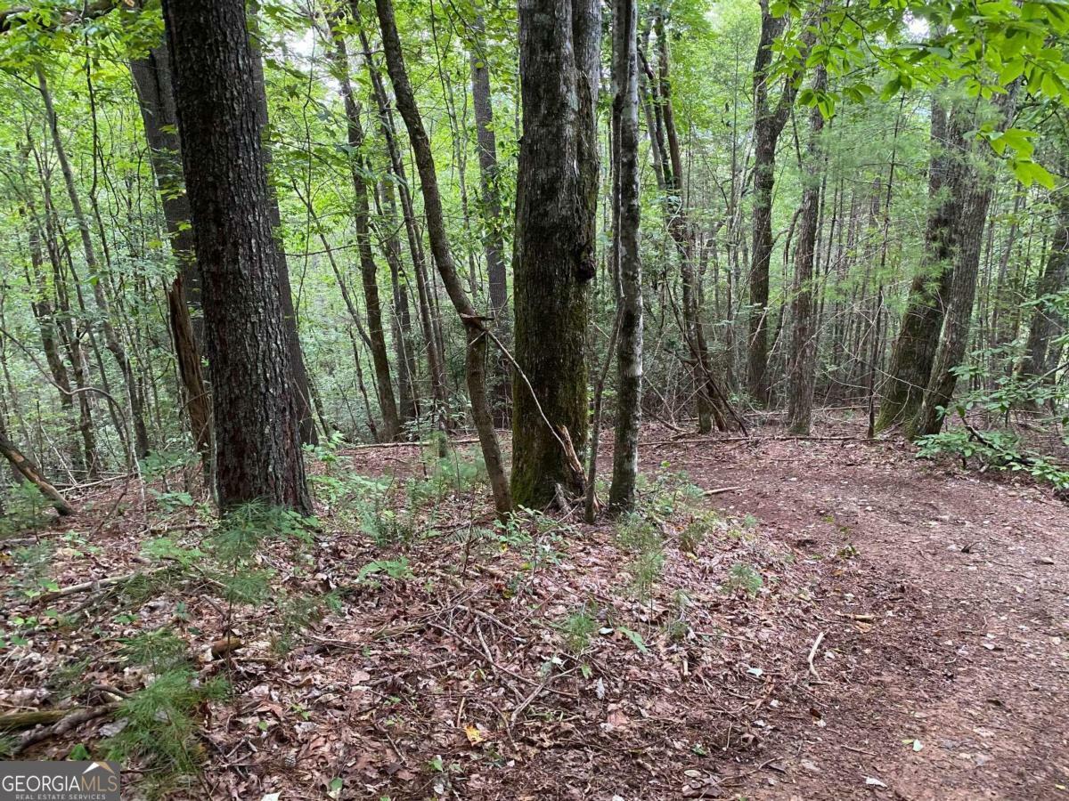 Property Photo:  Tract B Harpers Creek Road  GA 30540 