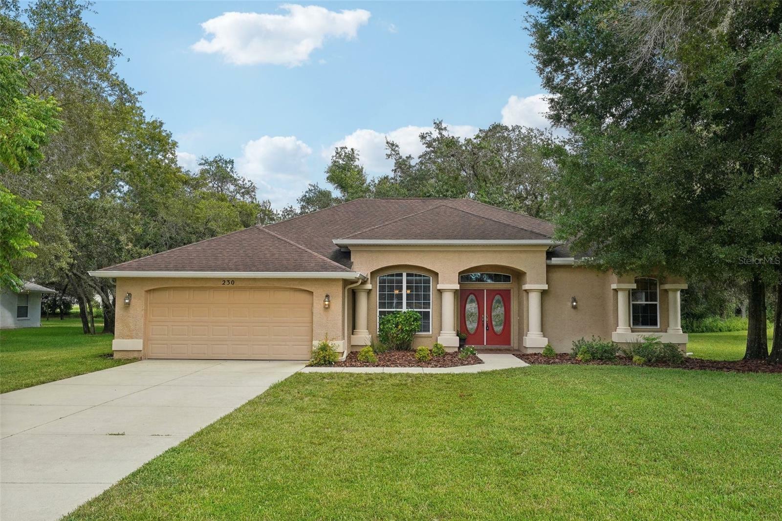 230 Forest Wood Court  Spring Hill FL 34609 photo